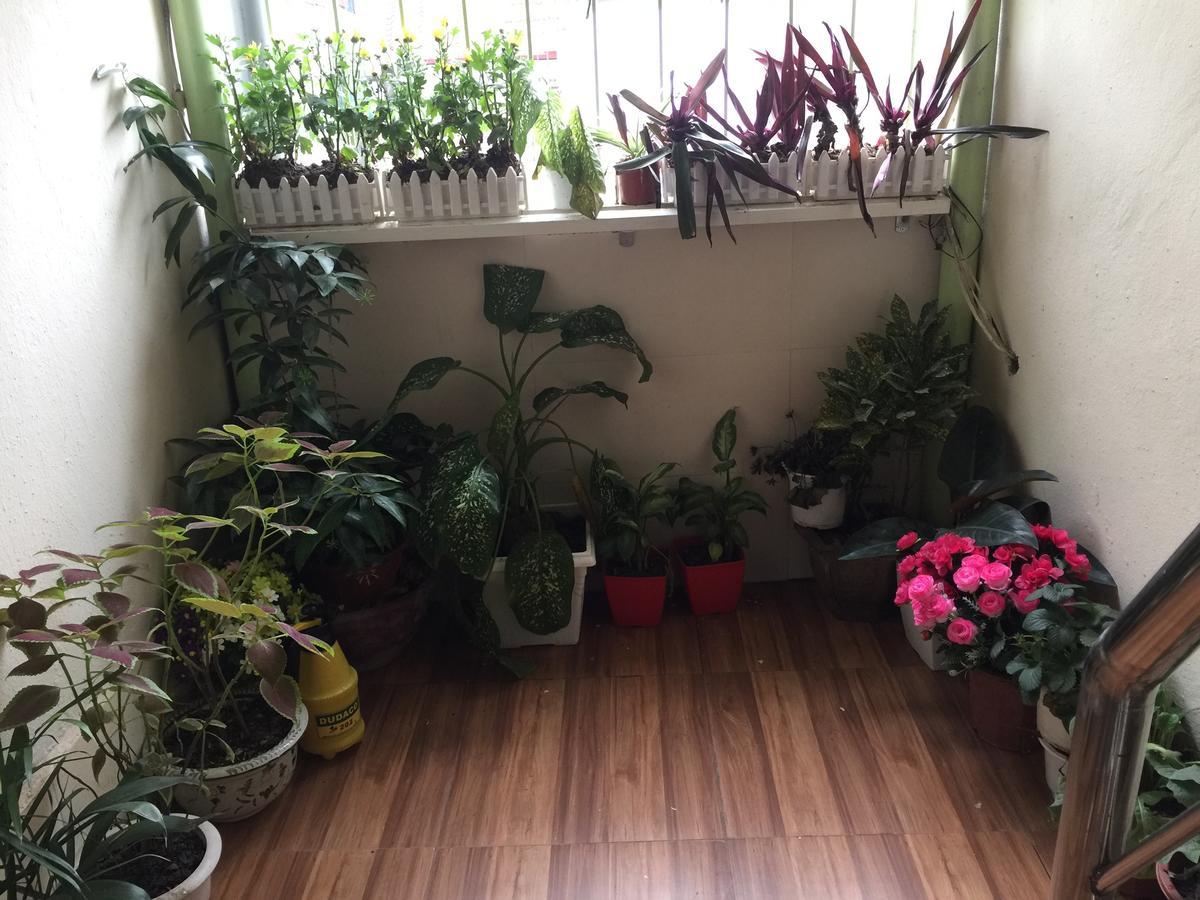 Cozy Homestay Ханой Экстерьер фото